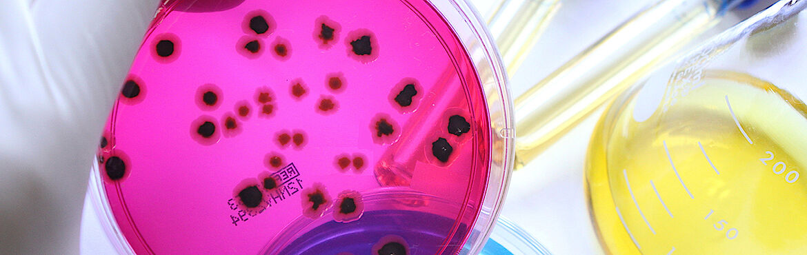 Ausbildung zertifizierte:r Hygienemanager:in & interne:r Auditor:in im Lebensmittelbereich TÜV® Ausbildung zertifizierte:r Hygienemanager:in & interne:r Auditor:in im Lebensmittelbereich TÜV®