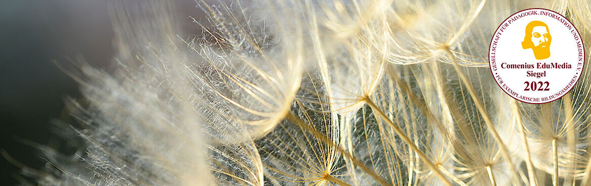 Die TÜV AUSTRIA Akademie hilft Ihnen mit diesem E-Learning Training Ihre Resilienz zu steigern. 